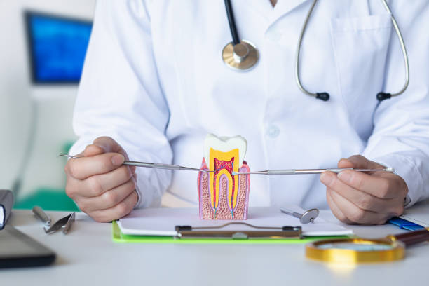 Best Emergency Treatment for Toothache in Blue Springs, MO